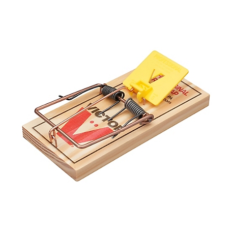 Why Aren't Your Rat Traps Working? - ABC Home & Commercial Services Blog