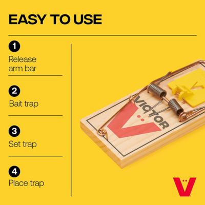 Image showing  Easy Set Rat Trap