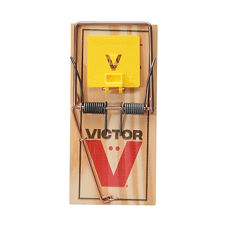 CatchMor Ratinator Rat Trap, 25 in. x 15 in. at Tractor Supply Co.
