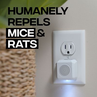 Image showing  PestChaser Rodent Repellent with Nightlight, 6-Pack