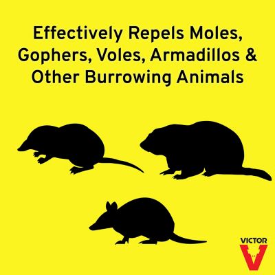 Image showing  10 lb. Mole and Gopher Repellent