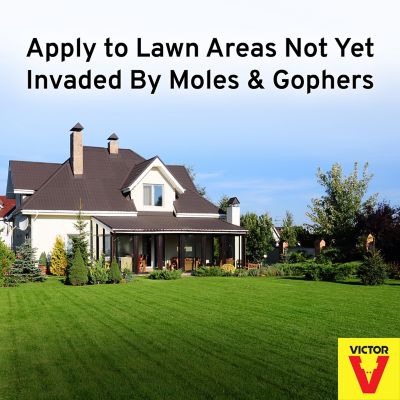 Image showing  10 lb. Mole and Gopher Repellent