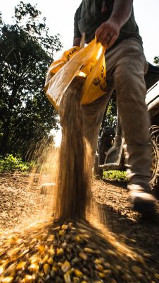Image showing  Apple Butterscotch Barrel Proof Deer Supplement, NY, 40 lb.