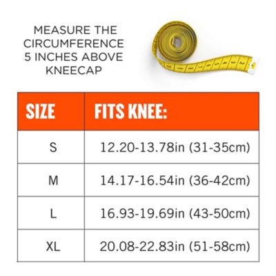 Image showing 5 th ProFlex 601 Knee Compression Sleeve, M