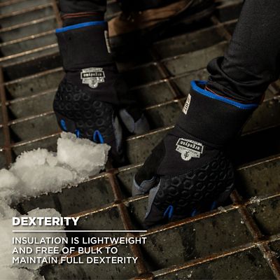 Image showing 5 th Ergodyne ProFlex 817 Thermal Winter Work Gloves with Reinforced Palms, 1 Pair