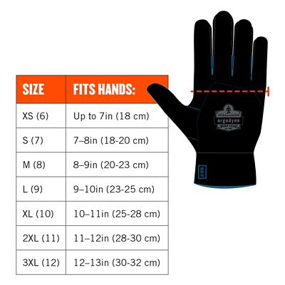 Image showing 6 th Ergodyne ProFlex 817 Thermal Winter Work Gloves with Reinforced Palms, 1 Pair