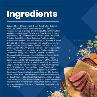 Image showing  Adult Beef and Brown Rice Recipe Dry Dog Food