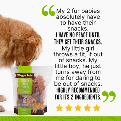 Image showing 6 th Waggin' Train Chicken Jerky Tenders Dog Treats, 30 oz.