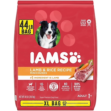 Iams Proactive Health Minichunks Adult Dry Dog Food Lamb & Rice Recipe Dog Kibble