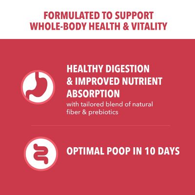 Image showing  ProActive Health MiniChunks Adult Lamb and Rice Recipe Dry Dog Food