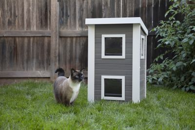 ecoFLEX Albany Outdoor Cat House at Tractor Supply Co