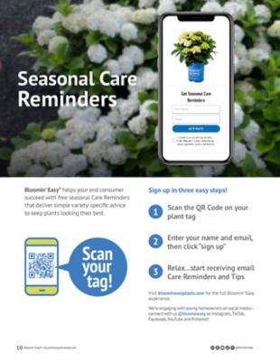 Image showing 8 th Bloomin' Easy 1 pt. Potted Red Jumbo Flare Hardy Hydrangea Plant