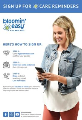 Image showing 8 th Bloomin' Easy 1 pt. Potted White Jumbo Tuxedo Weigela Plant