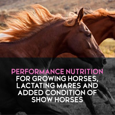 Image showing  Inspire Peak Growth Pellet Horse Feed, 50 lb.