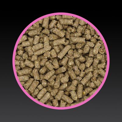 Image showing  Inspire Peak Growth Pellet Horse Feed, 50 lb.