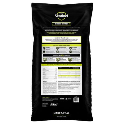 Image showing  Sentinel Mare & Foal, 50 lb.