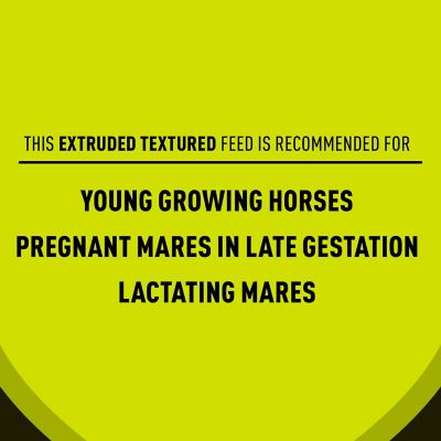 Image showing 5 th Kent Blue Seal Sentinel Mare and Foal, 50 lb.