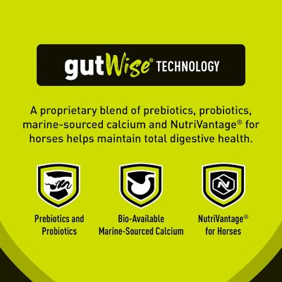 Image showing 6 th Kent Blue Seal Sentinel Mare and Foal, 50 lb.