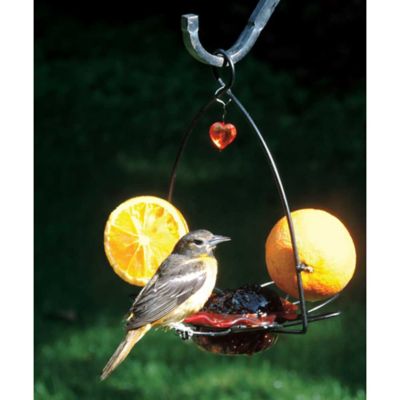 Image showing  3 oz. Flower-Shaped Oriole Bird Feeder