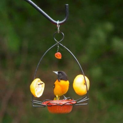 Image showing 5 th Birds Choice 3 oz. Flower-Shaped Oriole Bird Feeder