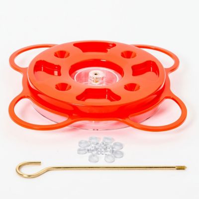 Image showing  12 oz. Oriolefest Bird Feeder