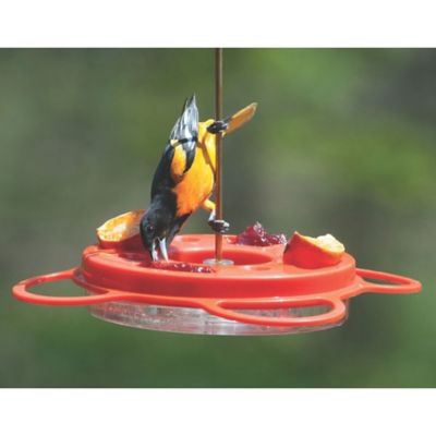 Image showing  12 oz. Oriolefest Bird Feeder