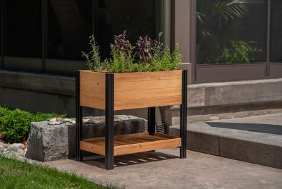 Image showing  Mezza Cedar Sprout Farm, Golden Brown, 32 in. x 18 in. x 33 in.