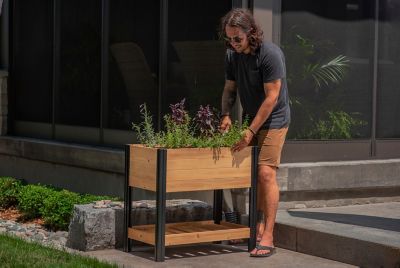 Image showing  Mezza Cedar Sprout Farm, Golden Brown, 32 in. x 18 in. x 33 in.