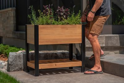 Image showing  Mezza Cedar Sprout Farm, Golden Brown, 32 in. x 18 in. x 33 in.