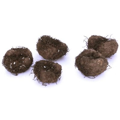 Image showing  Golden Balcony Begonia Patio Plant with Red Metal Planter, Soil and Growers Pot