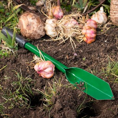 Image showing  Flower Bulb Planting Long Handled Trowel