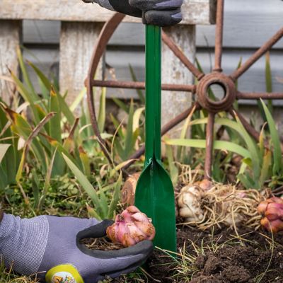 Image showing  Flower Bulb Planting Long Handled Trowel