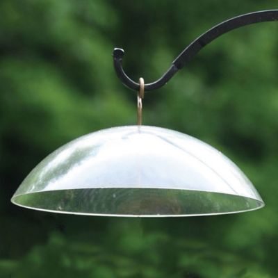 Image showing  Protective Cover for Hanging Bird Feeders, Clear