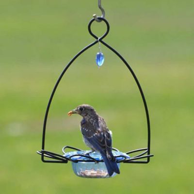 Image showing  3 oz. Flower-Shaped Bluebird Feeder