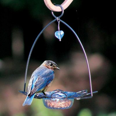 Image showing  3 oz. Flower-Shaped Bluebird Feeder