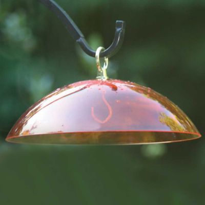 Image showing  Hanging Orange Dome Bird Feeder Cover