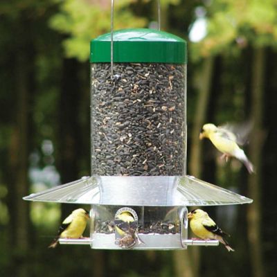 Image showing  4 lb. Classic Hanging Bird Feeder with Baffle Weather Guard, 12 in.