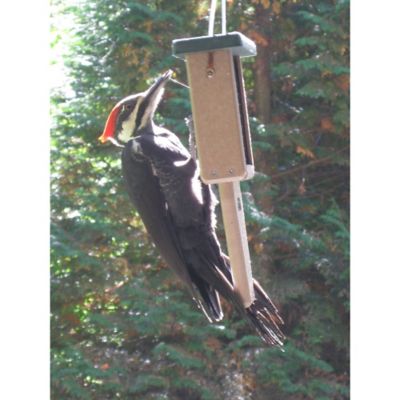 Image showing  1 Cake Capacity Recycled Tail Prop Suet Bird Feeder