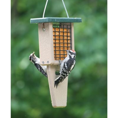 Image showing 5 th Birds Choice 1 Cake Capacity Recycled Tail Prop Suet Bird Feeder