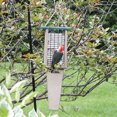 Image showing  2 Cake Capacity Recycled Pileated Suet Cake Bird Feeder with Tail Prop, Taupe/Green