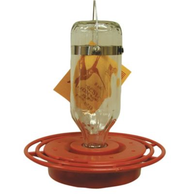 Birds Choice Best 1 Glass Hummingbird Feeder, 8 oz.