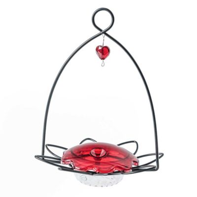 Birds Choice Flower-Shaped Hummingbird Feeder, 3 oz.