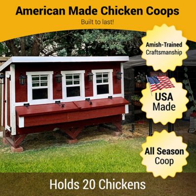 Image showing  Extra-Large Chicken Coop, 20 Chicken Capacity