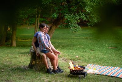 Image showing 6 th Endless Summer 18.5 in. Portable Propane Gas Outdoor Fire Pit