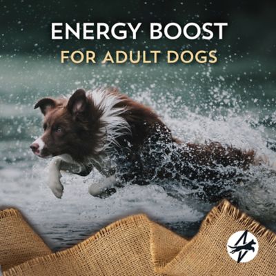 Image showing 5 th Wholesomes Adult Energy Plus 24/20 Beef Recipe Dry Dog Food, 40 lb. Bag