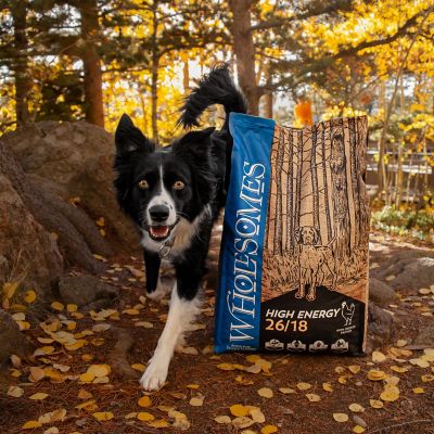 Image showing  Adult High Energy 26/18 Chicken Recipe Dry Dog Food, 40 lb. Bag