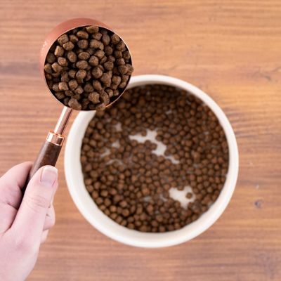 Image showing  Adult High Energy 26/18 Chicken Recipe Dry Dog Food, 40 lb. Bag