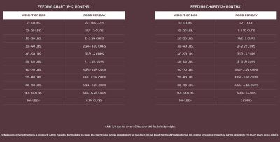 Image showing  Large Breed Adult Sensitive Skin and Stomach Salmon Recipe Dry Dog Food, 30 lb. Bag