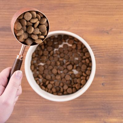 Image showing  Large Breed Adult Sensitive Skin and Stomach Salmon Recipe Dry Dog Food, 30 lb. Bag