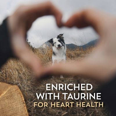 Image showing 5 th Wholesomes Large Breed Adult Sensitive Skin and Stomach Salmon Recipe Dry Dog Food, 30 lb. Bag